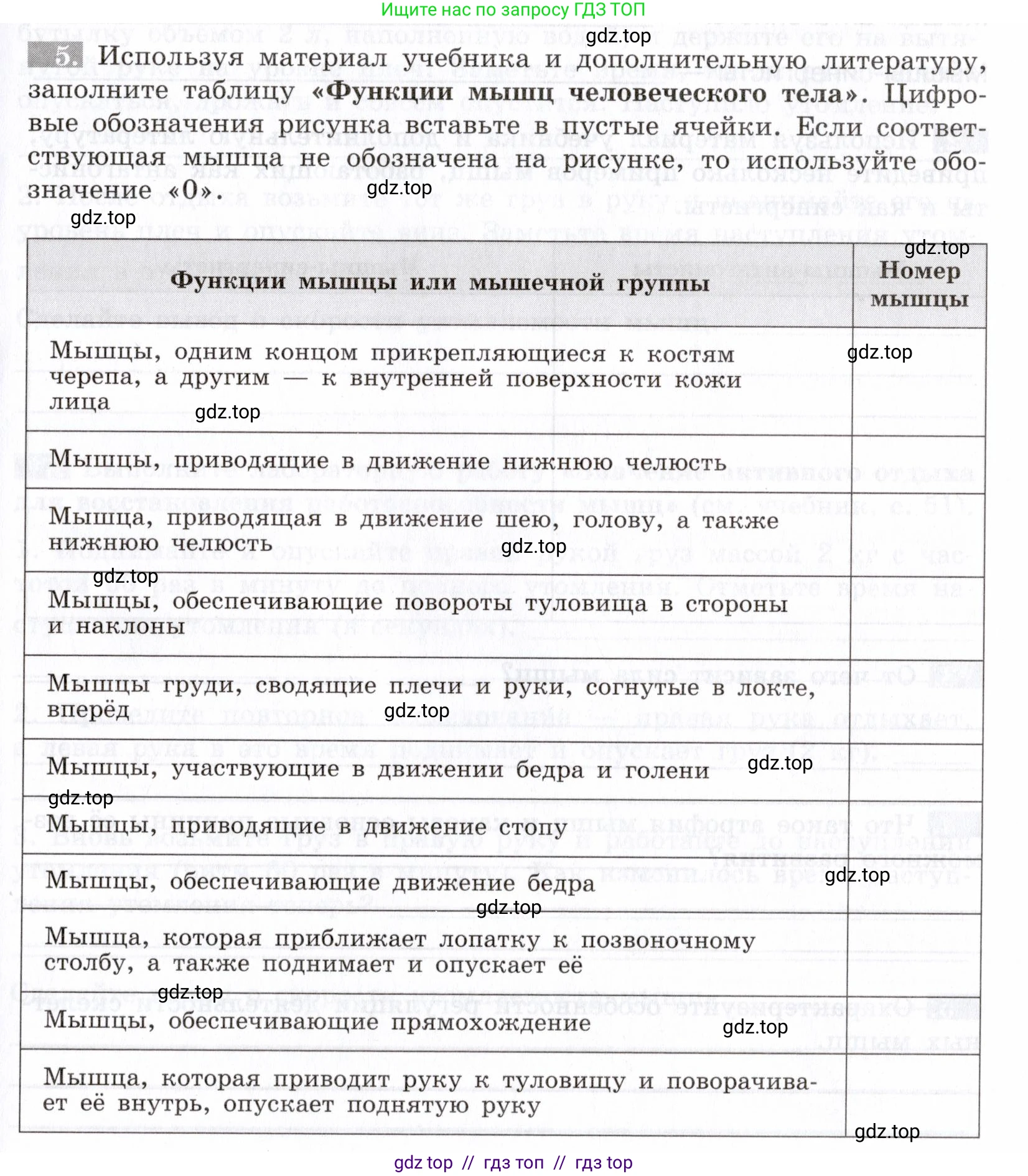 Биология, 8 класс рабочая тетрадь, авторы: Пасечник Владимир Васильевич, Швецов Глеб Геннадьевич, издательство Просвещение, Москва, 2019, страница 27, номер 5, Условие