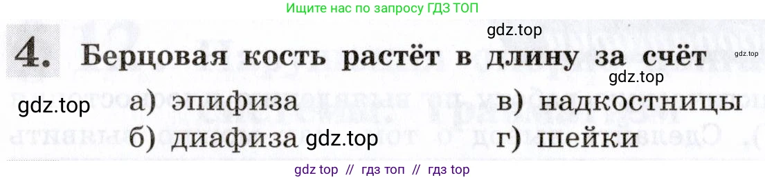 Биология, 8 класс рабочая тетрадь, авторы: Пасечник Владимир Васильевич, Швецов Глеб Геннадьевич, издательство Просвещение, Москва, 2019, страница 32, номер 4, Условие