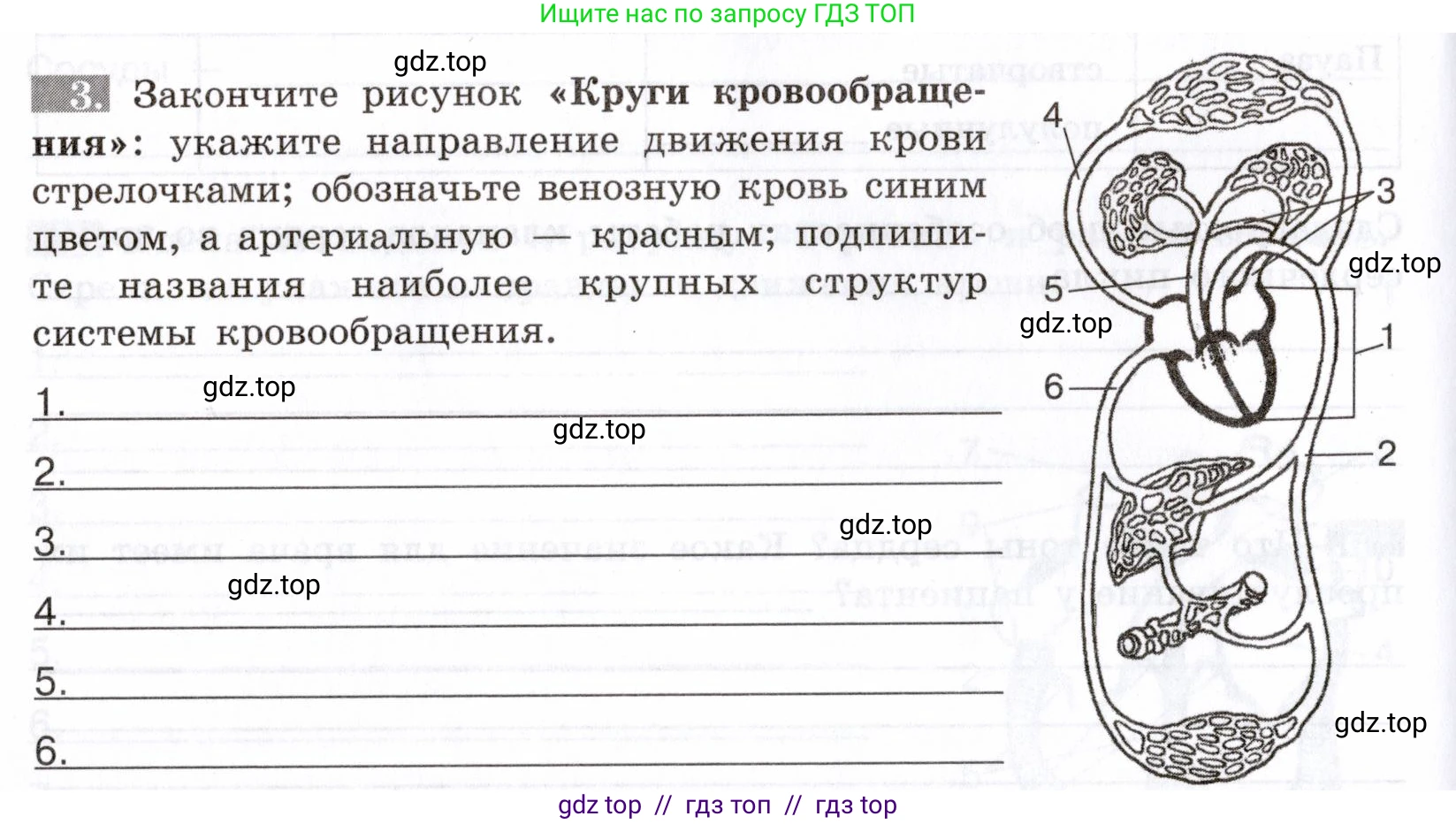 Биология, 8 класс рабочая тетрадь, авторы: Пасечник Владимир Васильевич, Швецов Глеб Геннадьевич, издательство Просвещение, Москва, 2019, страница 44, номер 3, Условие
