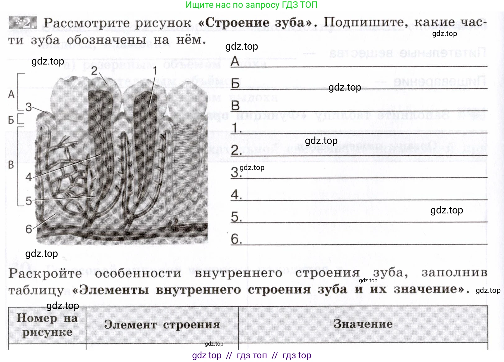 Биология, 8 класс рабочая тетрадь, авторы: Пасечник Владимир Васильевич, Швецов Глеб Геннадьевич, издательство Просвещение, Москва, 2019, страница 60, номер 2, Условие