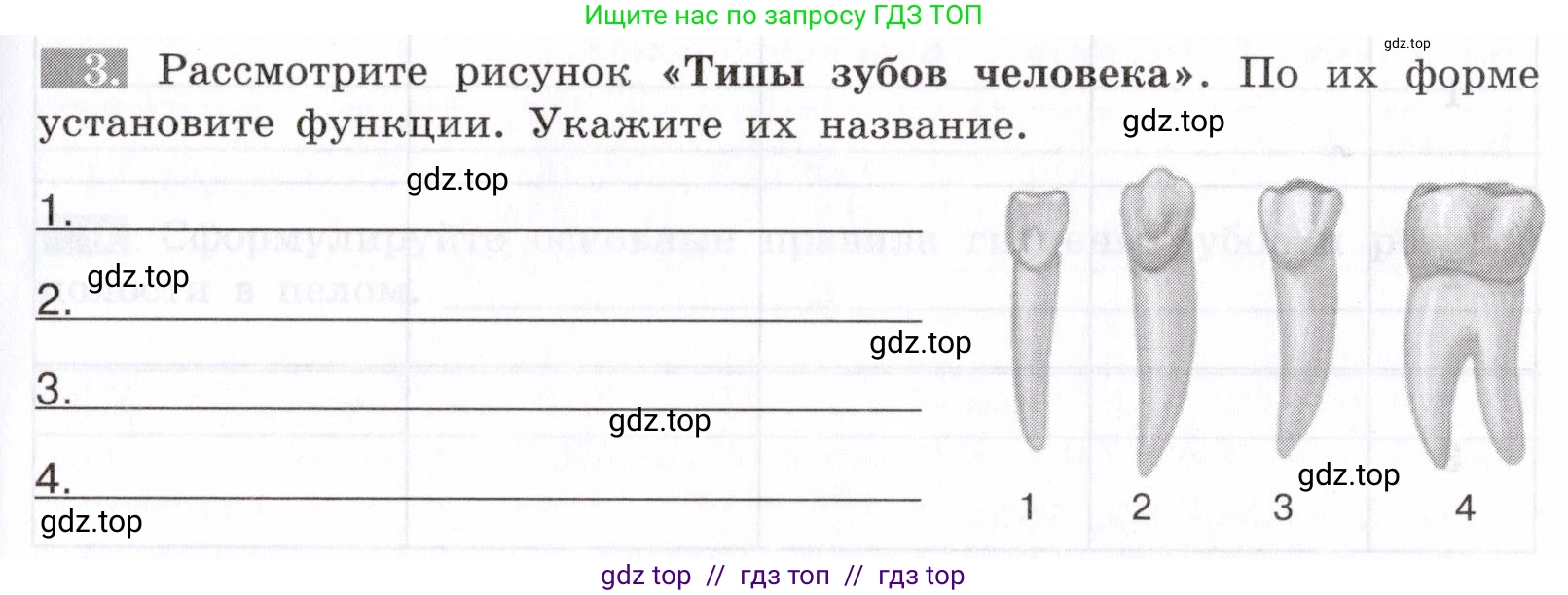 Биология, 8 класс рабочая тетрадь, авторы: Пасечник Владимир Васильевич, Швецов Глеб Геннадьевич, издательство Просвещение, Москва, 2019, страница 61, номер 3, Условие