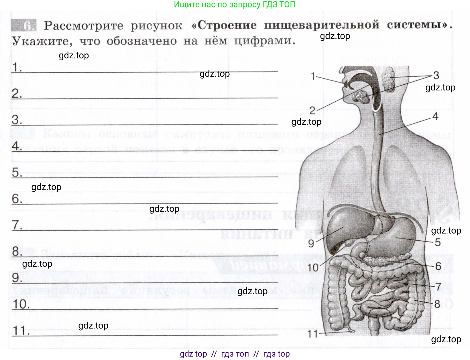 Биология, 8 класс рабочая тетрадь, авторы: Пасечник Владимир Васильевич, Швецов Глеб Геннадьевич, издательство Просвещение, Москва, 2019, страница 67, номер 6, Условие