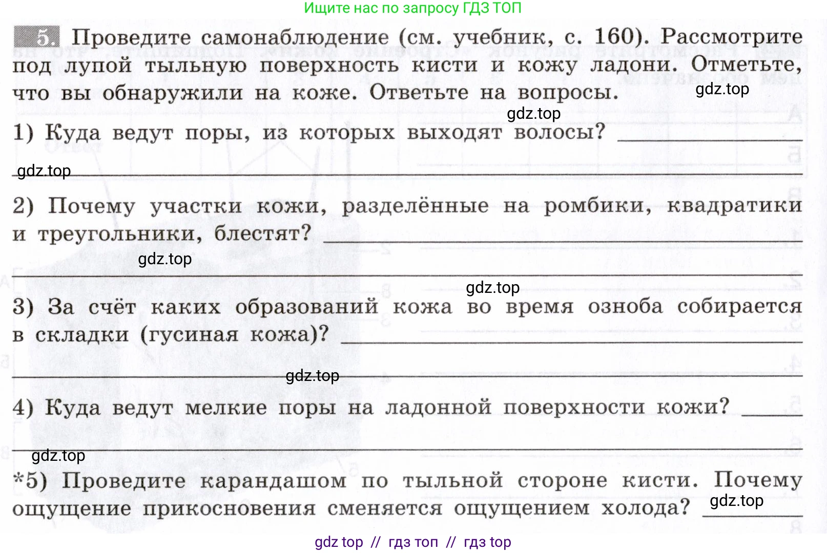 Биология, 8 класс рабочая тетрадь, авторы: Пасечник Владимир Васильевич, Швецов Глеб Геннадьевич, издательство Просвещение, Москва, 2019, страница 88, номер 5, Условие