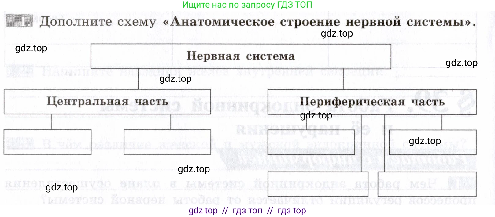 Биология, 8 класс рабочая тетрадь, авторы: Пасечник Владимир Васильевич, Швецов Глеб Геннадьевич, издательство Просвещение, Москва, 2019, страница 98, номер 1, Условие