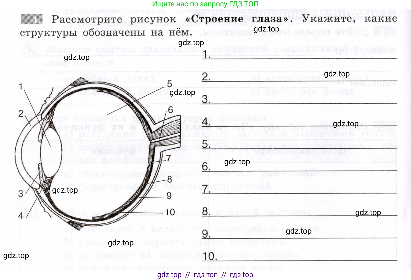 Биология, 8 класс рабочая тетрадь, авторы: Пасечник Владимир Васильевич, Швецов Глеб Геннадьевич, издательство Просвещение, Москва, 2019, страница 108, номер 4, Условие