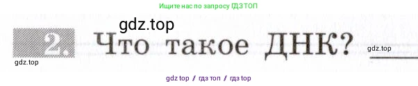 Биология, 8 класс рабочая тетрадь, авторы: Пасечник Владимир Васильевич, Швецов Глеб Геннадьевич, издательство Просвещение, Москва, 2019, страница 130, номер 2, Условие