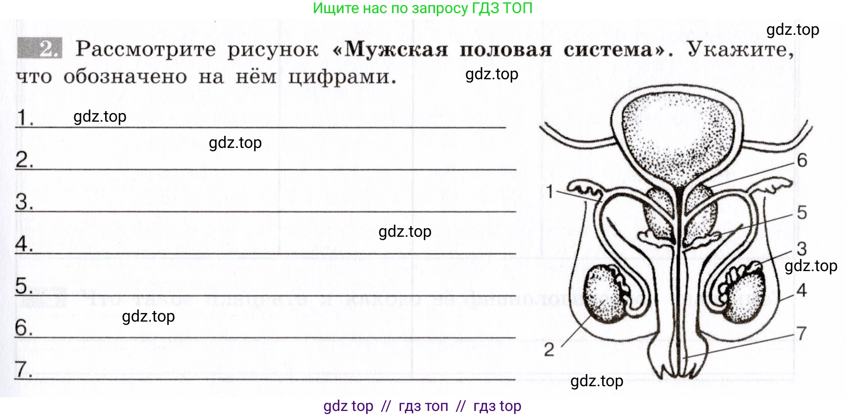 Биология, 8 класс рабочая тетрадь, авторы: Пасечник Владимир Васильевич, Швецов Глеб Геннадьевич, издательство Просвещение, Москва, 2019, страница 131, номер 2, Условие
