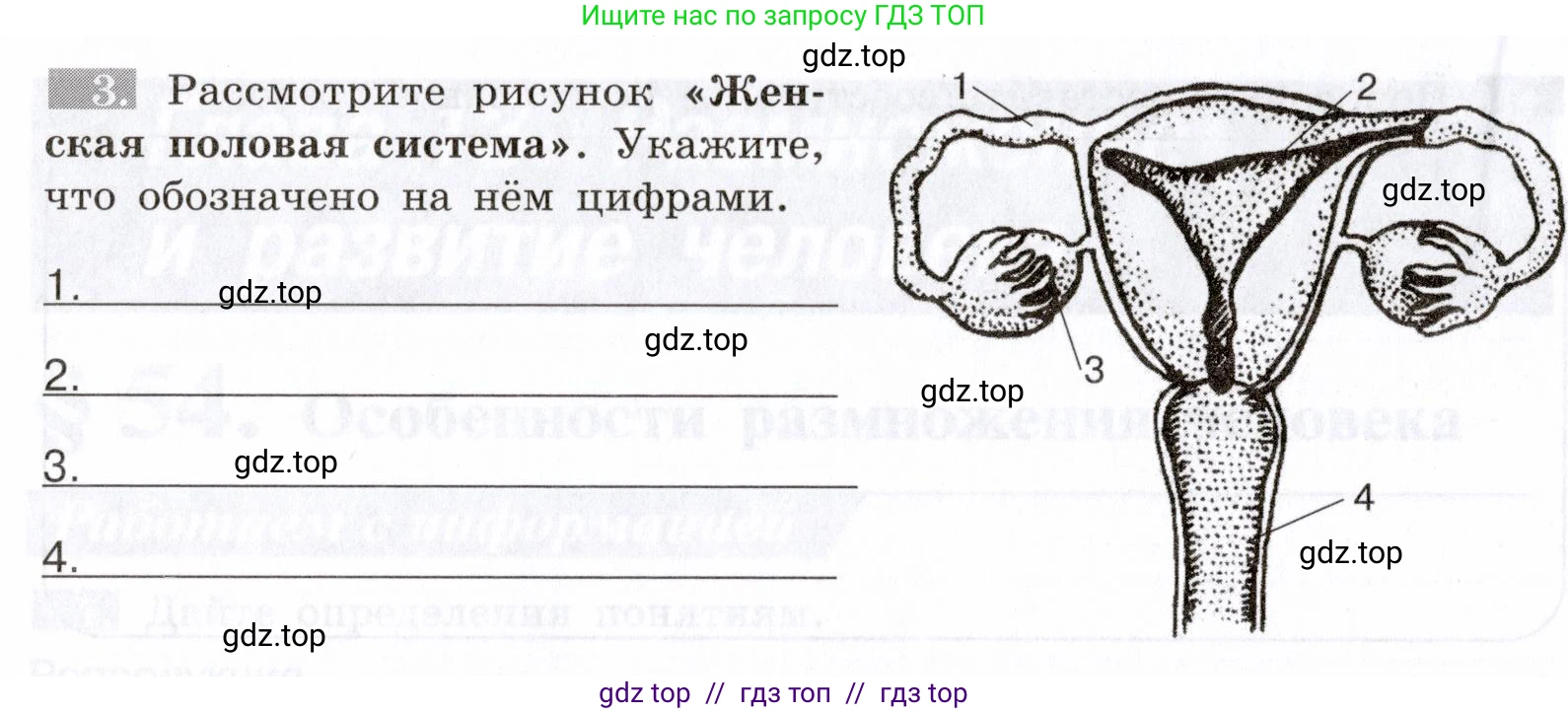 Биология, 8 класс рабочая тетрадь, авторы: Пасечник Владимир Васильевич, Швецов Глеб Геннадьевич, издательство Просвещение, Москва, 2019, страница 132, номер 3, Условие