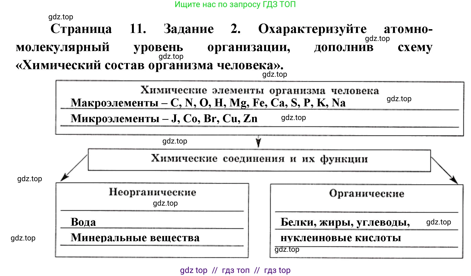 Биология, 8 класс рабочая тетрадь, авторы: Пасечник Владимир Васильевич, Швецов Глеб Геннадьевич, издательство Просвещение, Москва, 2019, страница 11, номер 2, Решение