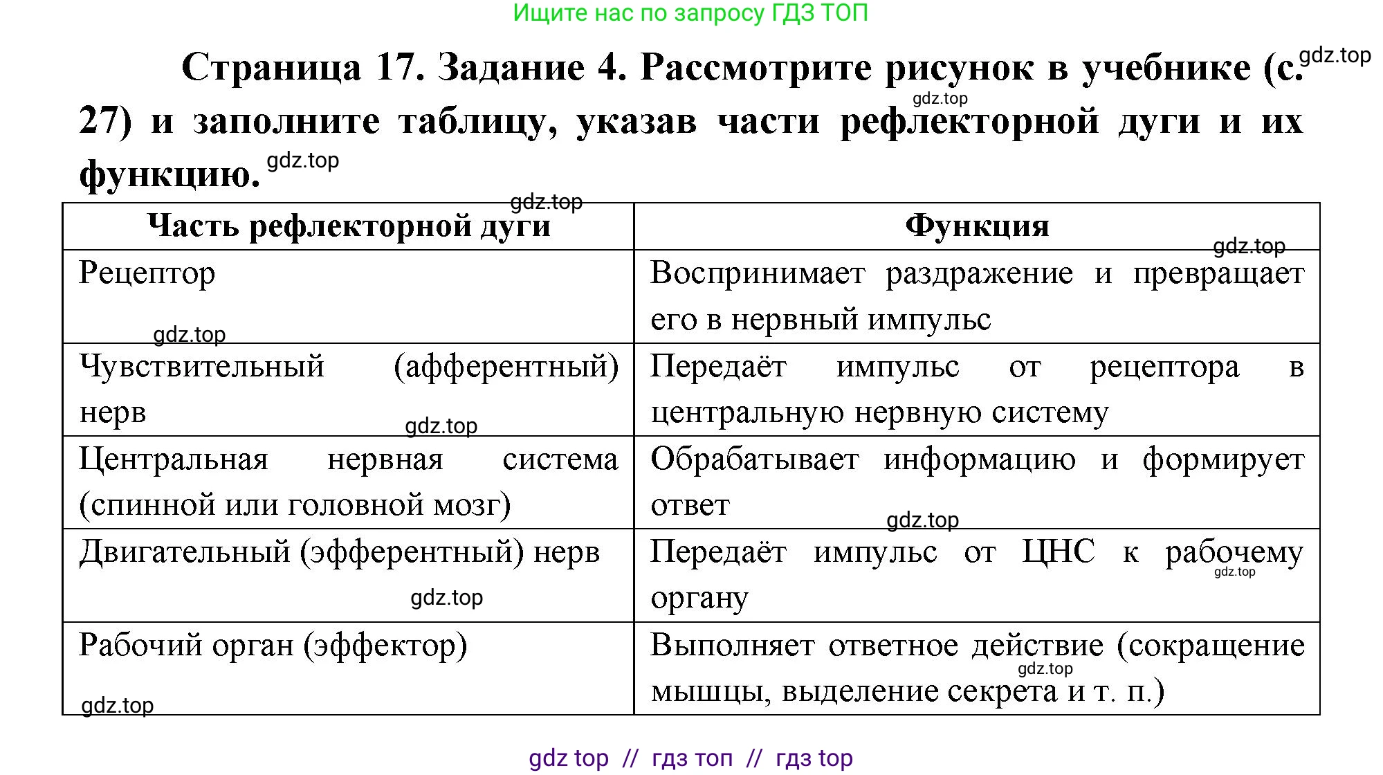 Биология, 8 класс рабочая тетрадь, авторы: Пасечник Владимир Васильевич, Швецов Глеб Геннадьевич, издательство Просвещение, Москва, 2019, страница 17, номер 4, Решение