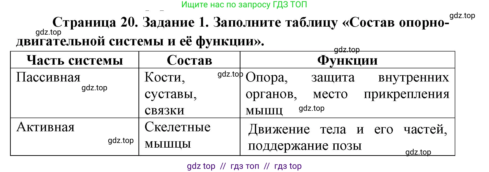 Биология, 8 класс рабочая тетрадь, авторы: Пасечник Владимир Васильевич, Швецов Глеб Геннадьевич, издательство Просвещение, Москва, 2019, страница 20, номер 1, Решение