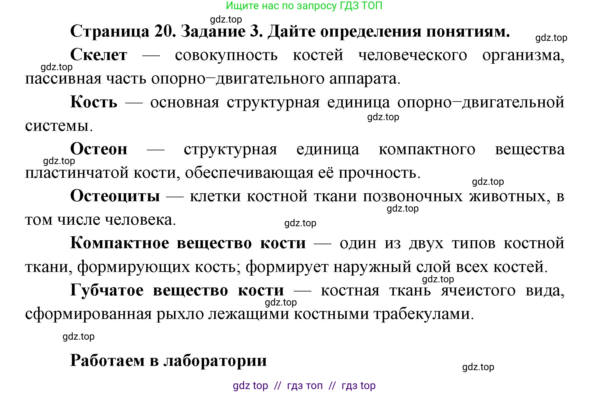 Биология, 8 класс рабочая тетрадь, авторы: Пасечник Владимир Васильевич, Швецов Глеб Геннадьевич, издательство Просвещение, Москва, 2019, страница 20, номер 3, Решение