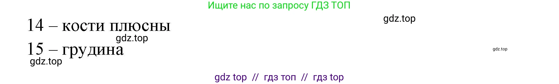 Биология, 8 класс рабочая тетрадь, авторы: Пасечник Владимир Васильевич, Швецов Глеб Геннадьевич, издательство Просвещение, Москва, 2019, страница 22, номер 1, Решение (продолжение 2)