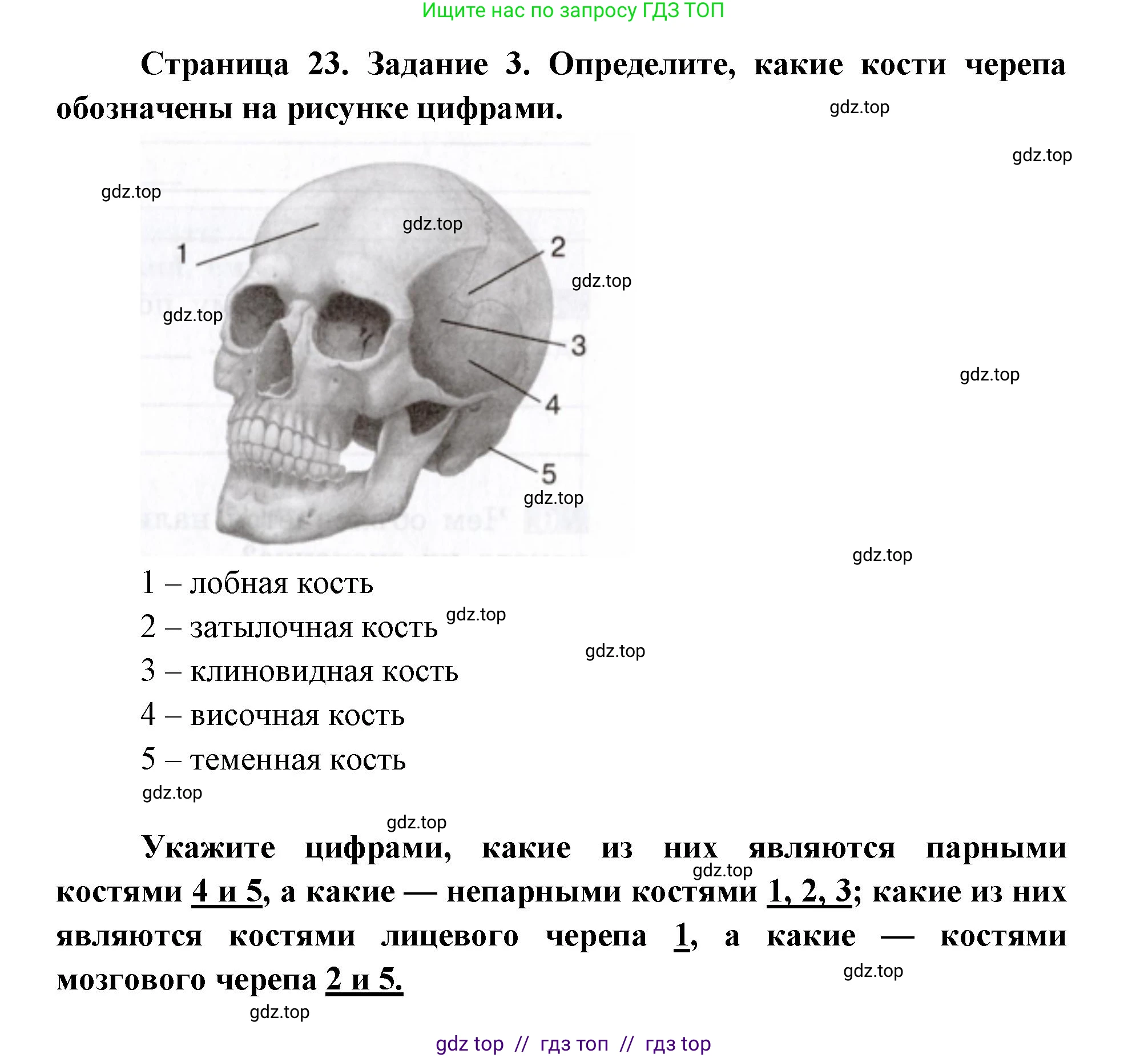 Биология, 8 класс рабочая тетрадь, авторы: Пасечник Владимир Васильевич, Швецов Глеб Геннадьевич, издательство Просвещение, Москва, 2019, страница 23, номер 3, Решение