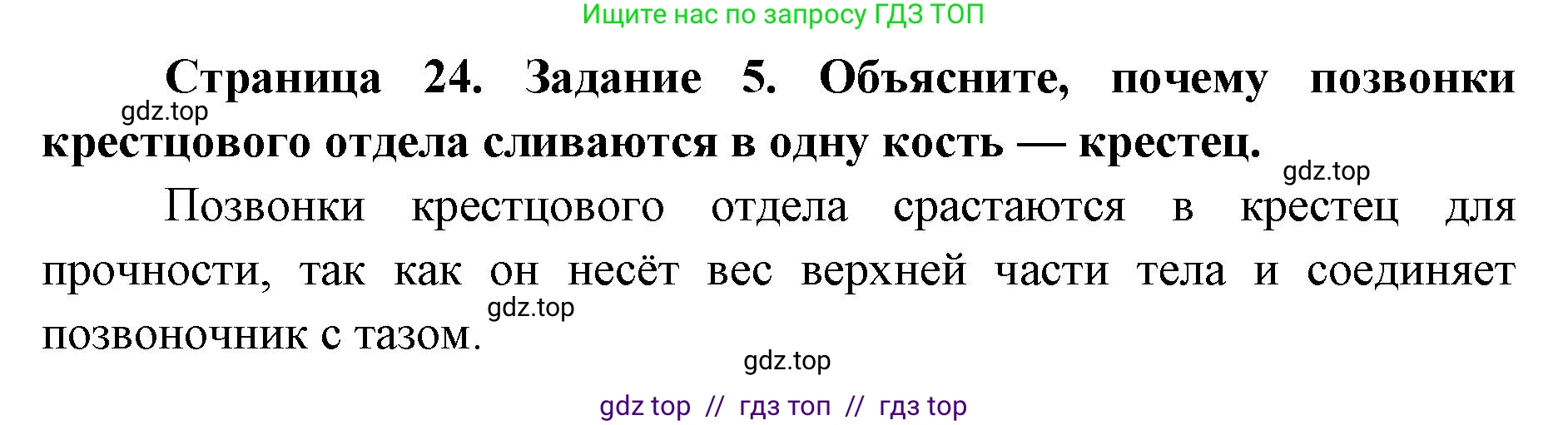 Биология, 8 класс рабочая тетрадь, авторы: Пасечник Владимир Васильевич, Швецов Глеб Геннадьевич, издательство Просвещение, Москва, 2019, страница 24, номер 5, Решение