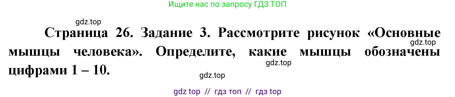 Биология, 8 класс рабочая тетрадь, авторы: Пасечник Владимир Васильевич, Швецов Глеб Геннадьевич, издательство Просвещение, Москва, 2019, страница 26, номер 3, Решение