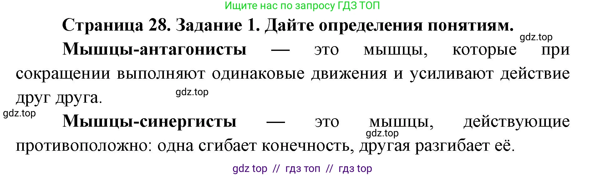 Биология, 8 класс рабочая тетрадь, авторы: Пасечник Владимир Васильевич, Швецов Глеб Геннадьевич, издательство Просвещение, Москва, 2019, страница 28, номер 1, Решение