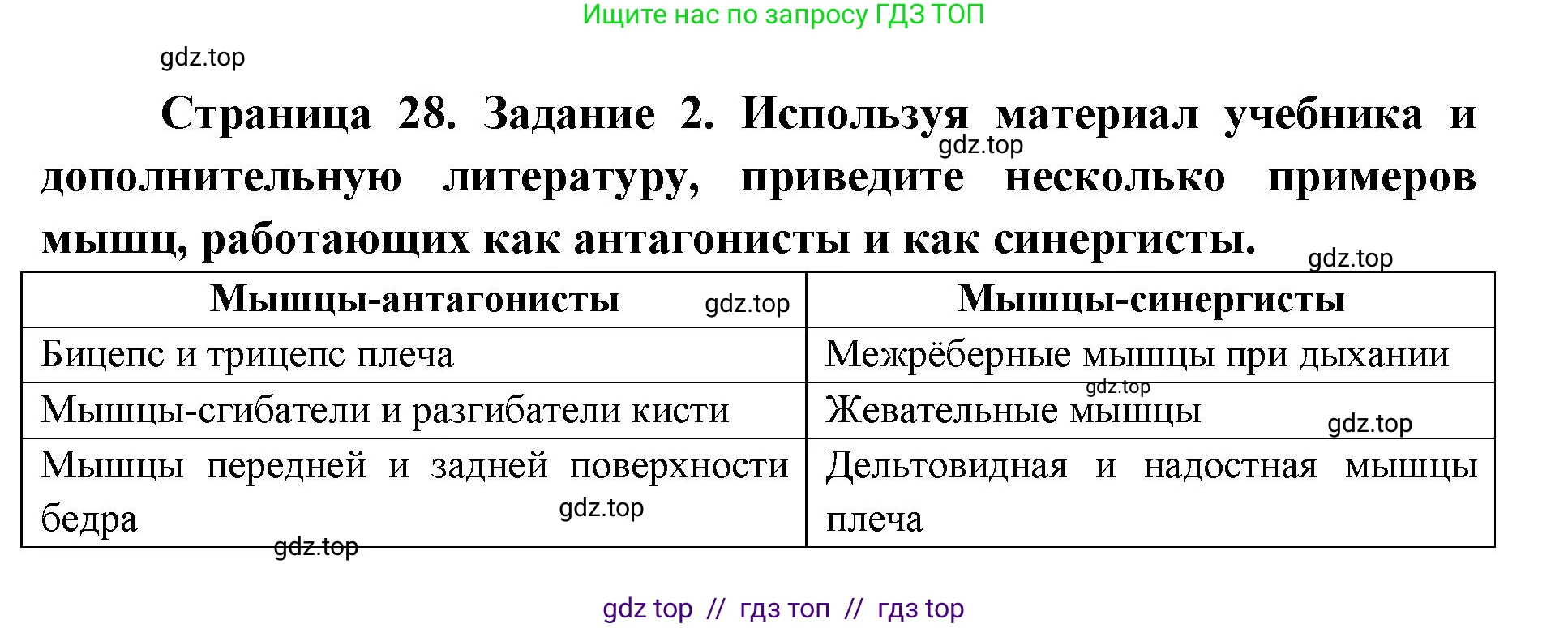 Биология, 8 класс рабочая тетрадь, авторы: Пасечник Владимир Васильевич, Швецов Глеб Геннадьевич, издательство Просвещение, Москва, 2019, страница 28, номер 2, Решение