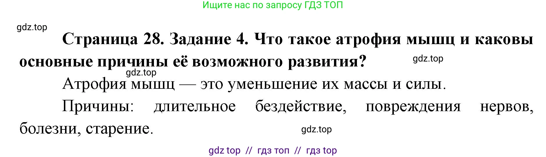 Биология, 8 класс рабочая тетрадь, авторы: Пасечник Владимир Васильевич, Швецов Глеб Геннадьевич, издательство Просвещение, Москва, 2019, страница 28, номер 4, Решение