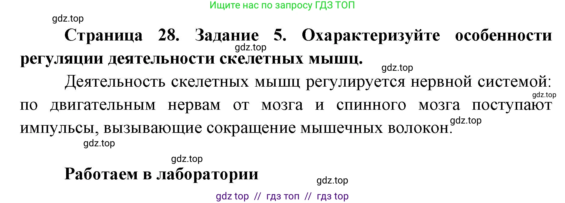 Биология, 8 класс рабочая тетрадь, авторы: Пасечник Владимир Васильевич, Швецов Глеб Геннадьевич, издательство Просвещение, Москва, 2019, страница 28, номер 5, Решение