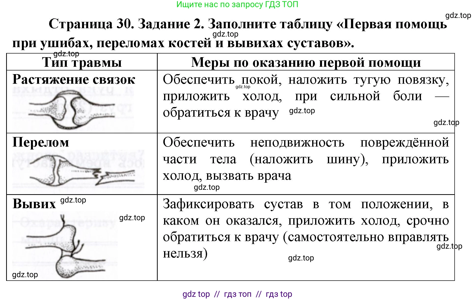 Биология, 8 класс рабочая тетрадь, авторы: Пасечник Владимир Васильевич, Швецов Глеб Геннадьевич, издательство Просвещение, Москва, 2019, страница 30, номер 2, Решение
