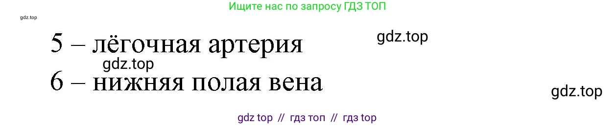 Биология, 8 класс рабочая тетрадь, авторы: Пасечник Владимир Васильевич, Швецов Глеб Геннадьевич, издательство Просвещение, Москва, 2019, страница 44, номер 3, Решение (продолжение 3)