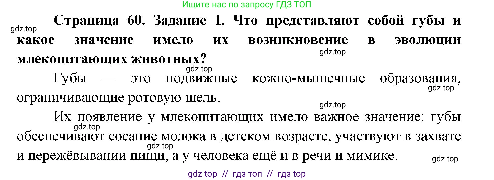 Биология, 8 класс рабочая тетрадь, авторы: Пасечник Владимир Васильевич, Швецов Глеб Геннадьевич, издательство Просвещение, Москва, 2019, страница 60, номер 1, Решение
