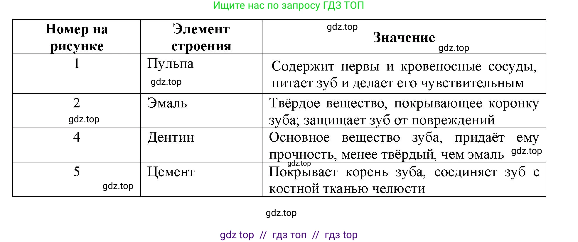 Биология, 8 класс рабочая тетрадь, авторы: Пасечник Владимир Васильевич, Швецов Глеб Геннадьевич, издательство Просвещение, Москва, 2019, страница 60, номер 2, Решение (продолжение 2)
