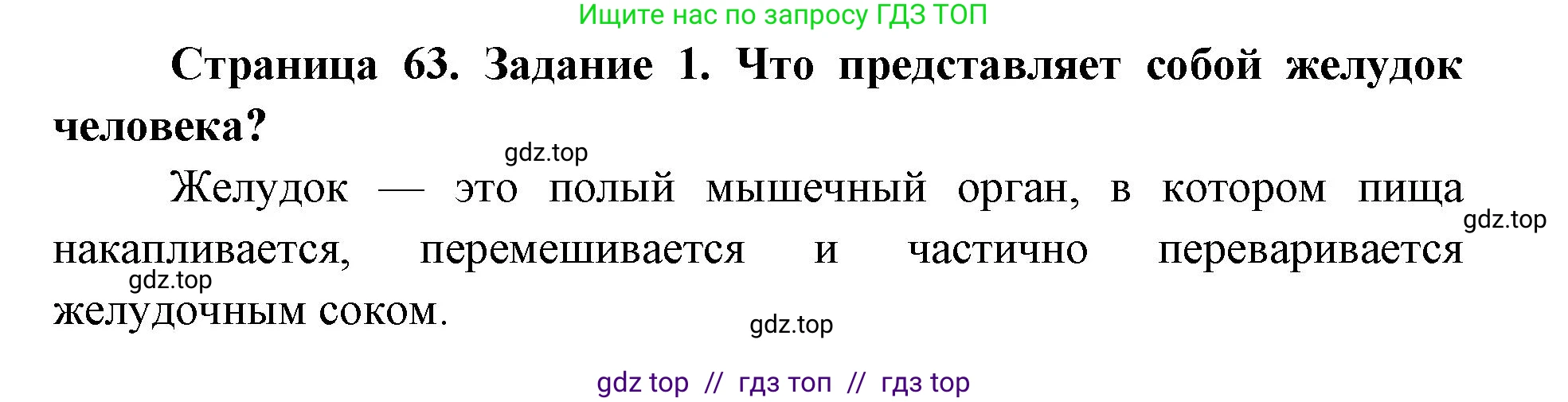 Биология, 8 класс рабочая тетрадь, авторы: Пасечник Владимир Васильевич, Швецов Глеб Геннадьевич, издательство Просвещение, Москва, 2019, страница 63, номер 1, Решение