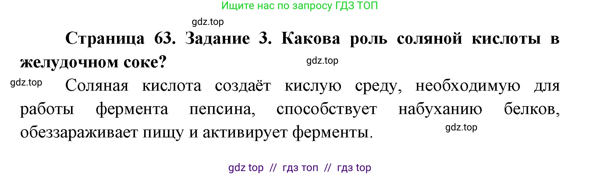 Биология, 8 класс рабочая тетрадь, авторы: Пасечник Владимир Васильевич, Швецов Глеб Геннадьевич, издательство Просвещение, Москва, 2019, страница 63, номер 3, Решение