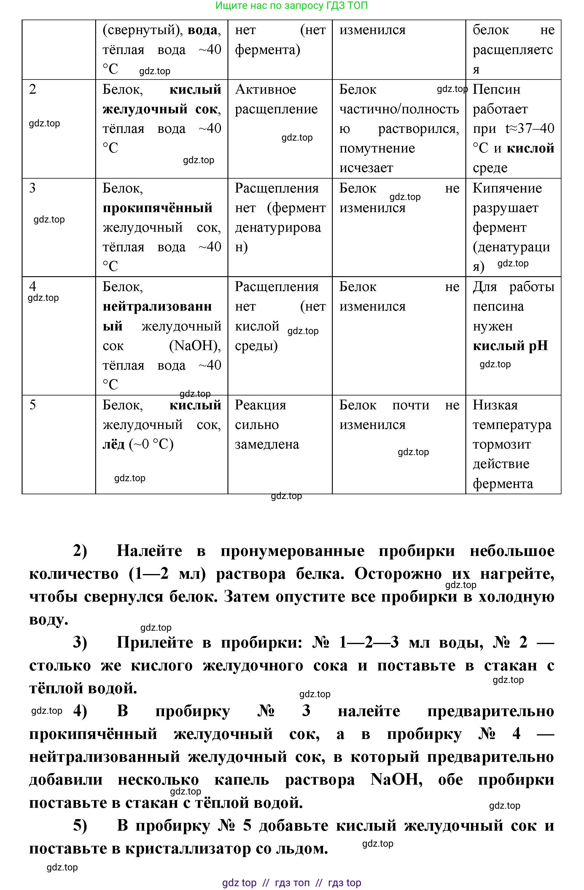 Биология, 8 класс рабочая тетрадь, авторы: Пасечник Владимир Васильевич, Швецов Глеб Геннадьевич, издательство Просвещение, Москва, 2019, страница 64, номер 4, Решение (продолжение 2)