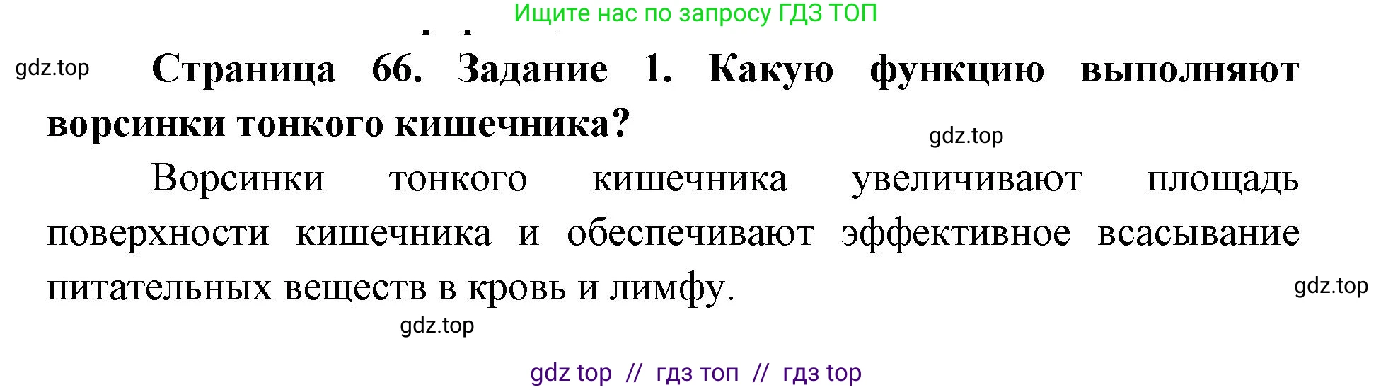 Биология, 8 класс рабочая тетрадь, авторы: Пасечник Владимир Васильевич, Швецов Глеб Геннадьевич, издательство Просвещение, Москва, 2019, страница 66, номер 1, Решение