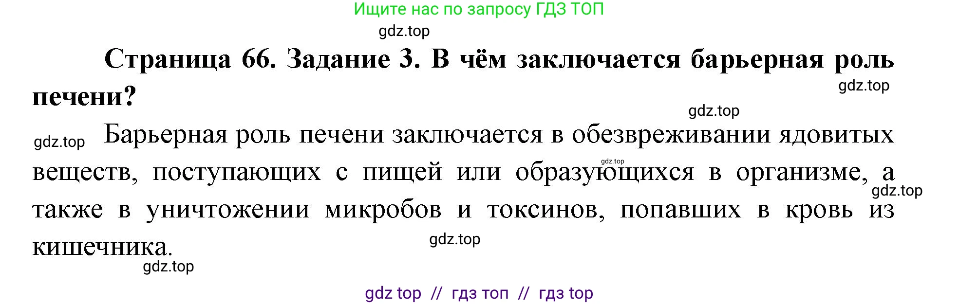 Биология, 8 класс рабочая тетрадь, авторы: Пасечник Владимир Васильевич, Швецов Глеб Геннадьевич, издательство Просвещение, Москва, 2019, страница 66, номер 3, Решение