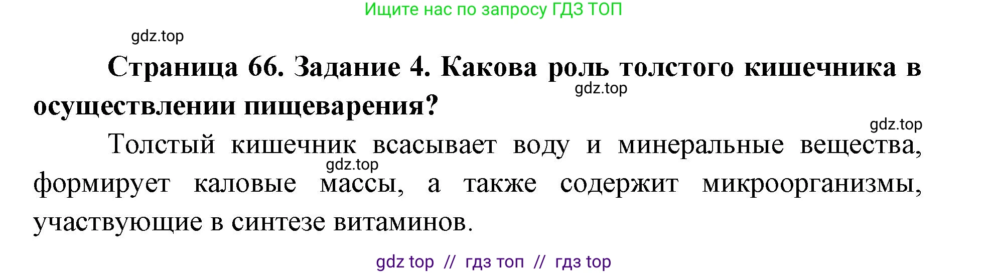 Биология, 8 класс рабочая тетрадь, авторы: Пасечник Владимир Васильевич, Швецов Глеб Геннадьевич, издательство Просвещение, Москва, 2019, страница 66, номер 4, Решение