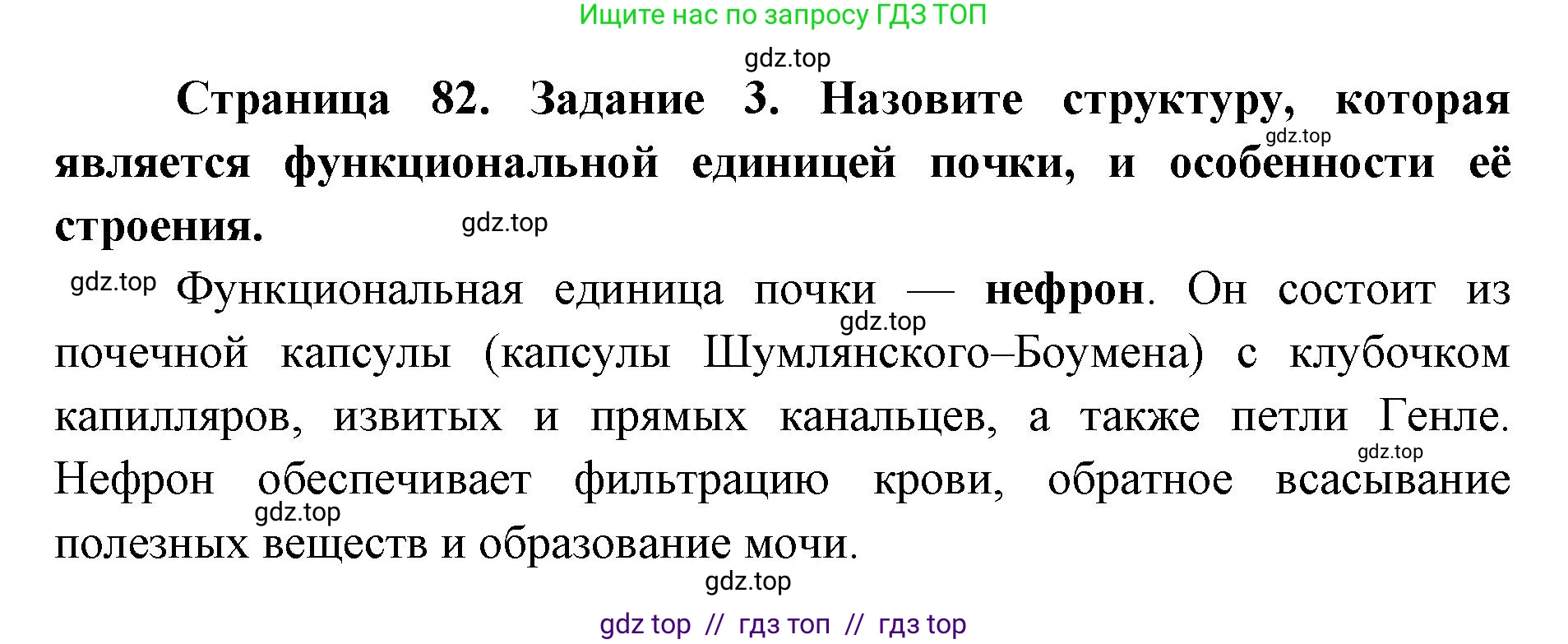 Биология, 8 класс рабочая тетрадь, авторы: Пасечник Владимир Васильевич, Швецов Глеб Геннадьевич, издательство Просвещение, Москва, 2019, страница 82, номер 3, Решение