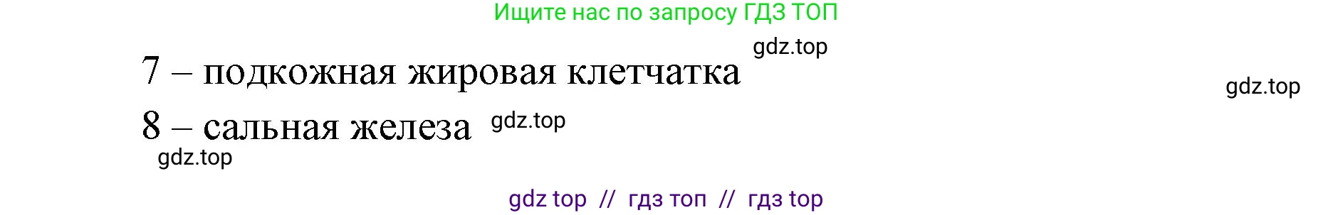 Биология, 8 класс рабочая тетрадь, авторы: Пасечник Владимир Васильевич, Швецов Глеб Геннадьевич, издательство Просвещение, Москва, 2019, страница 87, номер 2, Решение (продолжение 2)