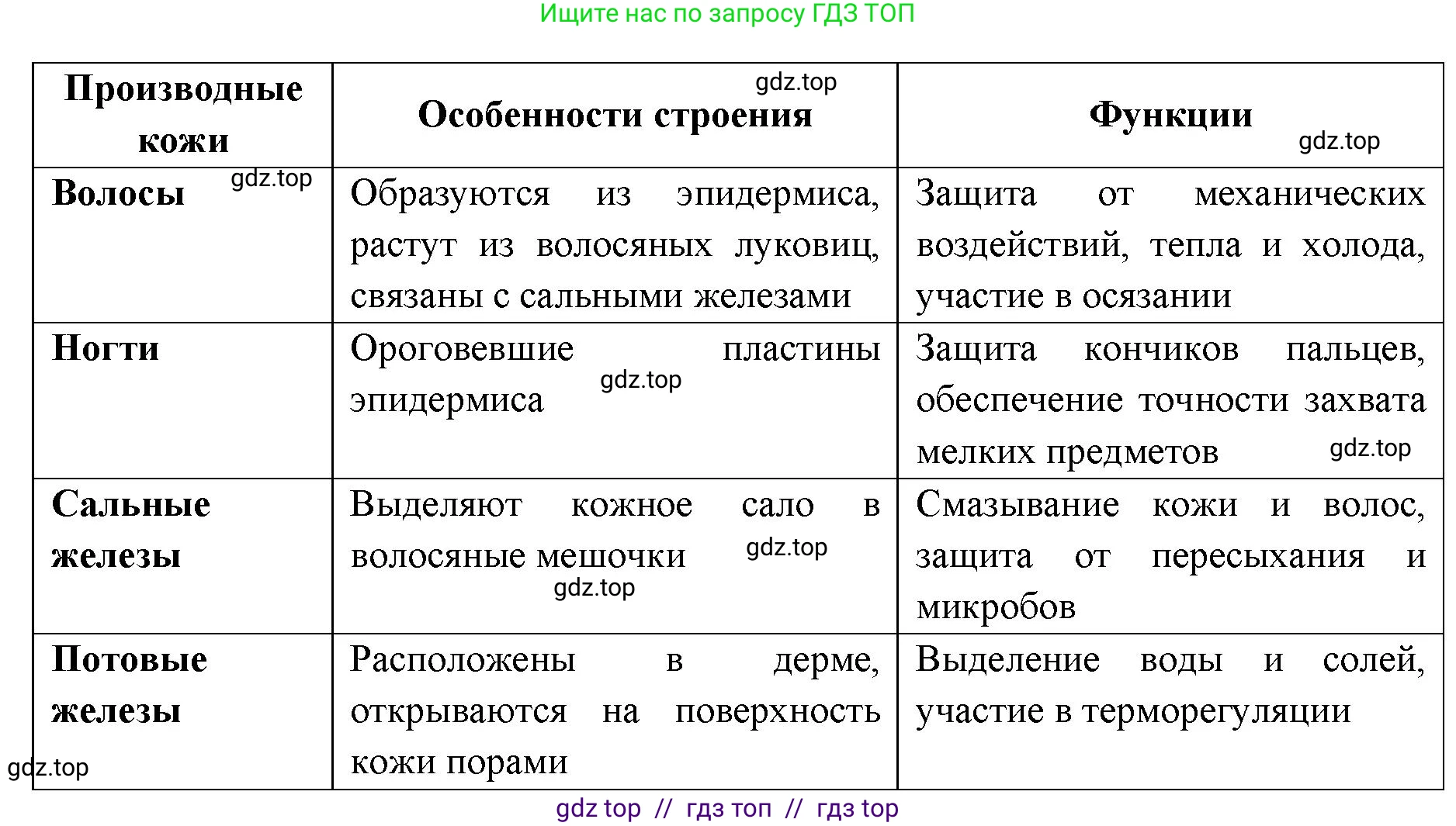 Биология, 8 класс рабочая тетрадь, авторы: Пасечник Владимир Васильевич, Швецов Глеб Геннадьевич, издательство Просвещение, Москва, 2019, страница 89, номер 7, Решение (продолжение 2)