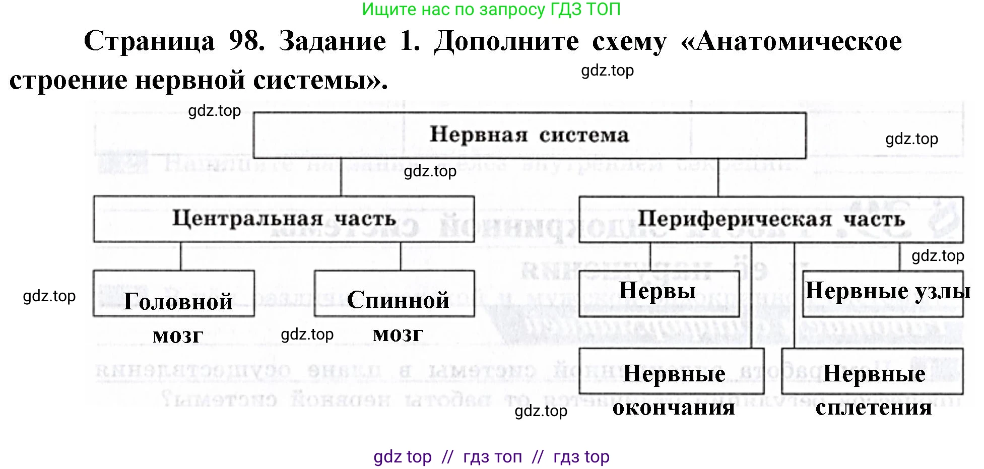 Биология, 8 класс рабочая тетрадь, авторы: Пасечник Владимир Васильевич, Швецов Глеб Геннадьевич, издательство Просвещение, Москва, 2019, страница 98, номер 1, Решение
