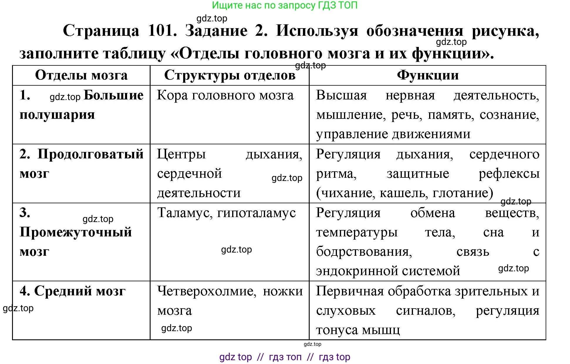 Биология, 8 класс рабочая тетрадь, авторы: Пасечник Владимир Васильевич, Швецов Глеб Геннадьевич, издательство Просвещение, Москва, 2019, страница 101, номер 2, Решение