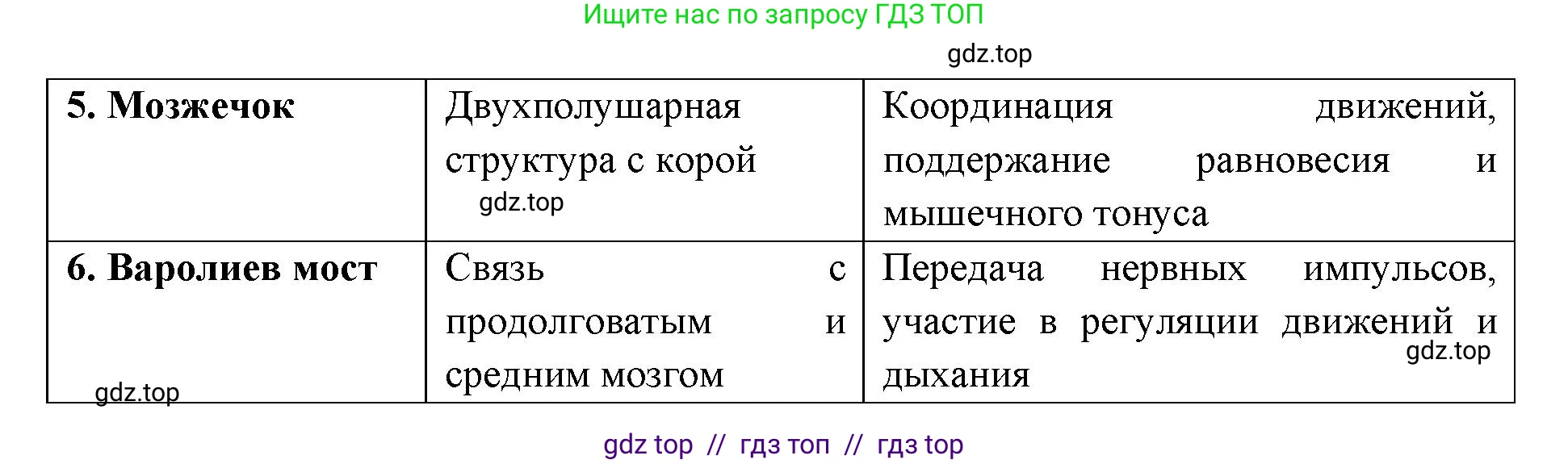 Биология, 8 класс рабочая тетрадь, авторы: Пасечник Владимир Васильевич, Швецов Глеб Геннадьевич, издательство Просвещение, Москва, 2019, страница 101, номер 2, Решение (продолжение 2)