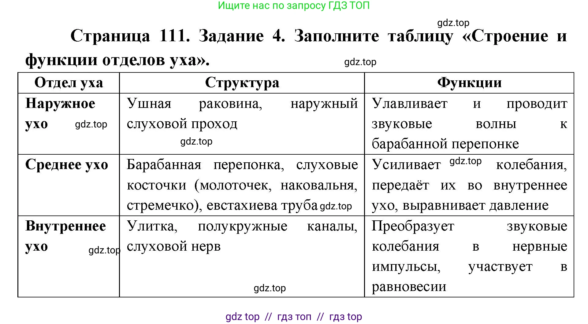 Биология, 8 класс рабочая тетрадь, авторы: Пасечник Владимир Васильевич, Швецов Глеб Геннадьевич, издательство Просвещение, Москва, 2019, страница 111, номер 4, Решение