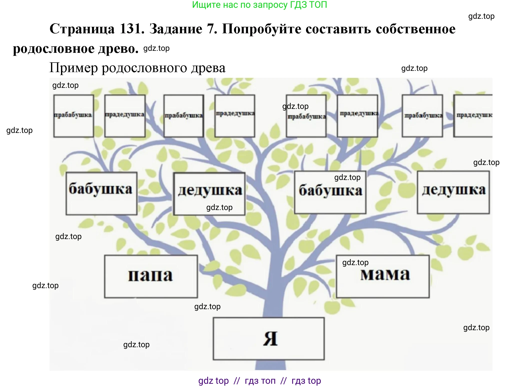 Биология, 8 класс рабочая тетрадь, авторы: Пасечник Владимир Васильевич, Швецов Глеб Геннадьевич, издательство Просвещение, Москва, 2019, страница 131, номер 7, Решение