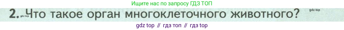 ГДЗ Биология, 8 класс Учебник, авторы: Пасечник Владимир Васильевич, Суматохин Сергей Витальевич, Гапонюк Зоя Георгиевна, издательство Просвещение, Москва, 2023, белого цвета, страница 19, номер 2, Условие