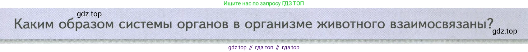 Биология, 8 класс Учебник, авторы: Пасечник Владимир Васильевич, Суматохин Сергей Витальевич, Гапонюк Зоя Георгиевна, издательство Просвещение, Москва, 2023, белого цвета, страница 19, Условие