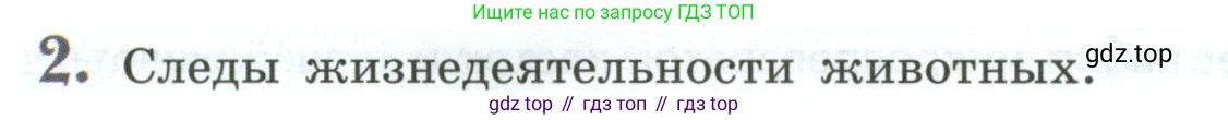 Биология, 8 класс Учебник, авторы: Пасечник Владимир Васильевич, Суматохин Сергей Витальевич, Гапонюк Зоя Георгиевна, издательство Просвещение, Москва, 2023, белого цвета, страница 20, номер 2, Условие