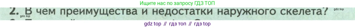 Биология, 8 класс Учебник, авторы: Пасечник Владимир Васильевич, Суматохин Сергей Витальевич, Гапонюк Зоя Георгиевна, издательство Просвещение, Москва, 2023, белого цвета, страница 24, номер 2, Условие