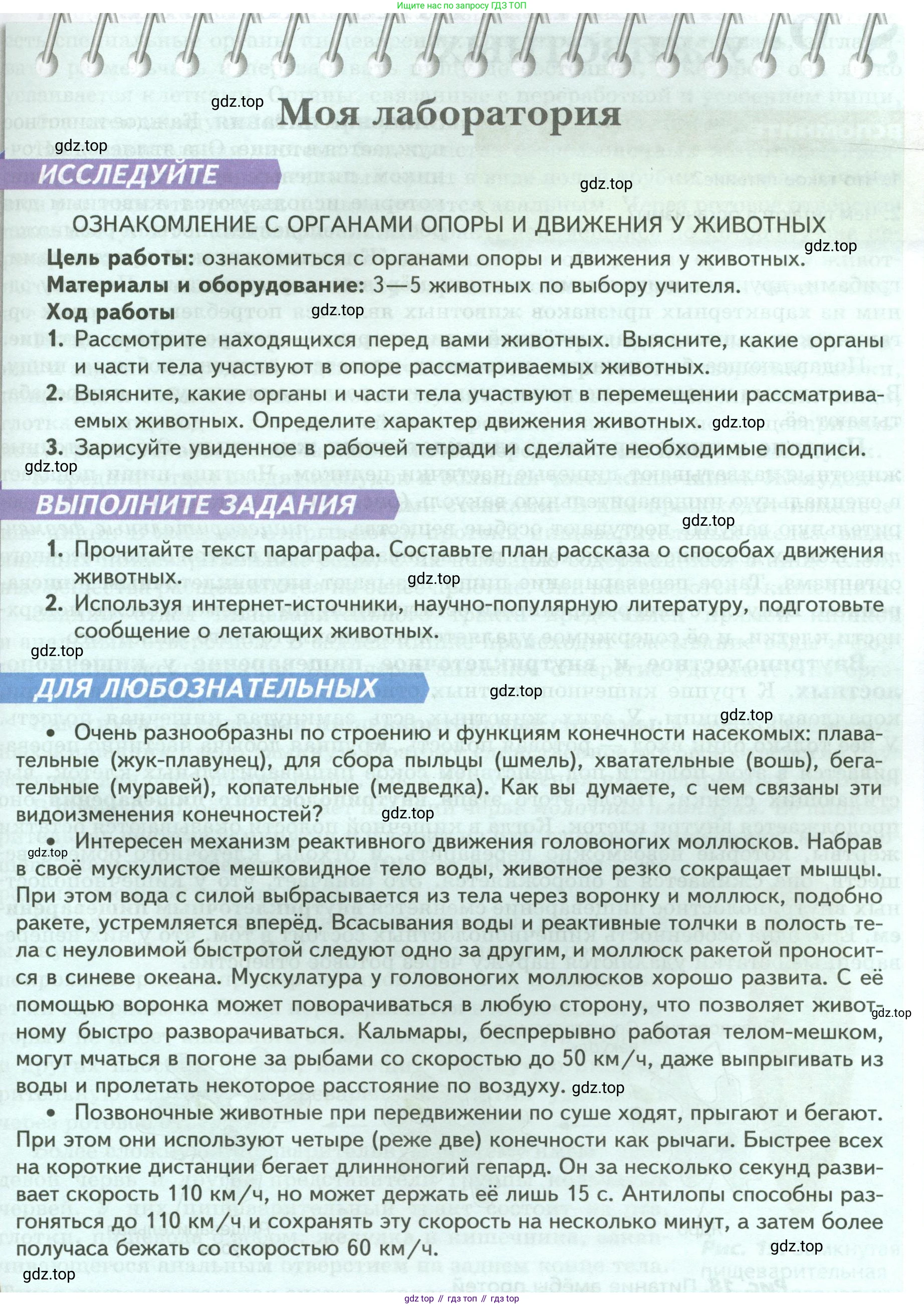 ГДЗ Биология, 8 класс Учебник, авторы: Пасечник Владимир Васильевич, Суматохин Сергей Витальевич, Гапонюк Зоя Георгиевна, издательство Просвещение, Москва, 2023, белого цвета, страница 25, Условие