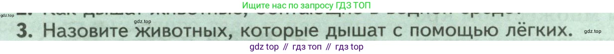 Биология, 8 класс Учебник, авторы: Пасечник Владимир Васильевич, Суматохин Сергей Витальевич, Гапонюк Зоя Георгиевна, издательство Просвещение, Москва, 2023, белого цвета, страница 32, номер 3, Условие