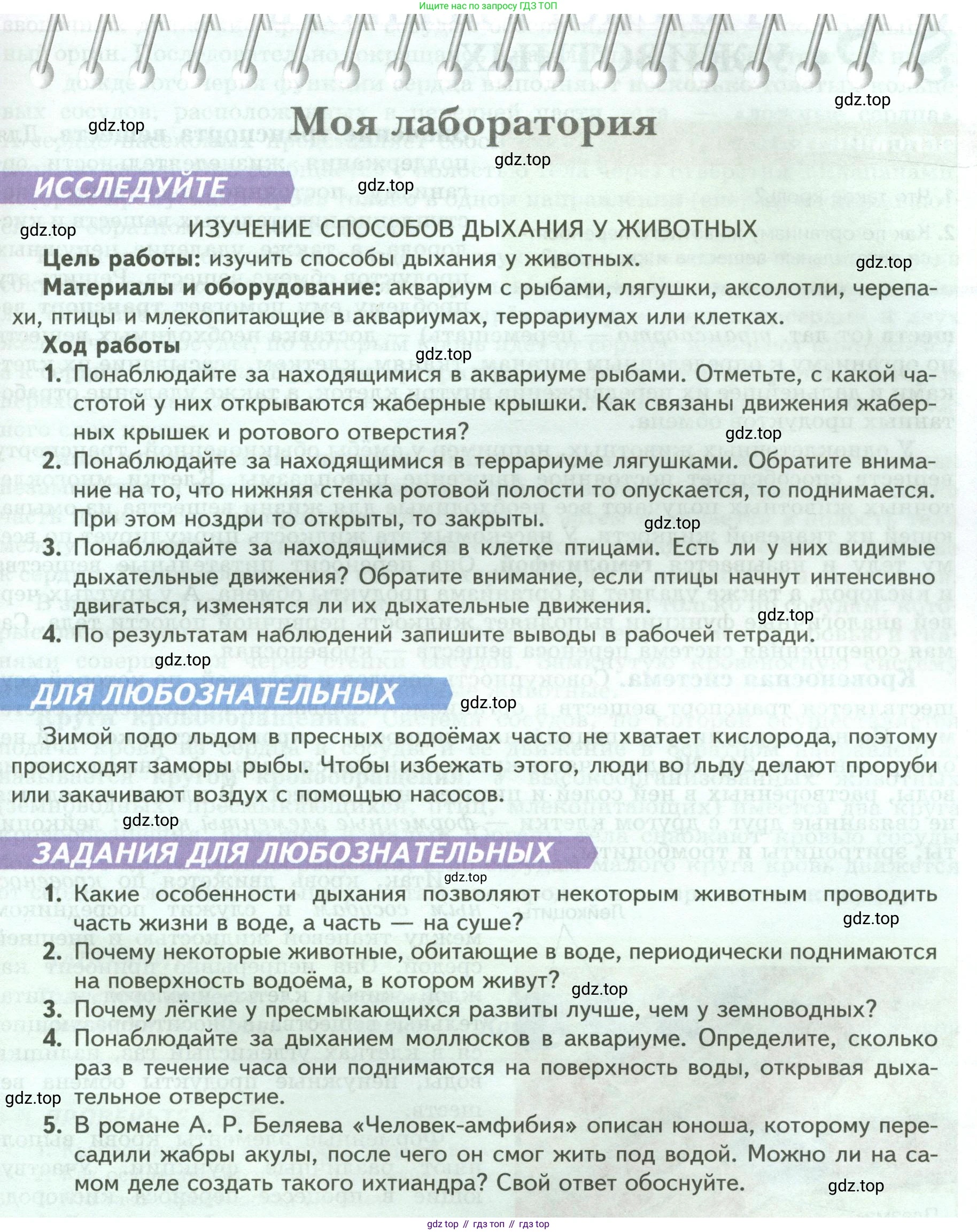 ГДЗ Биология, 8 класс Учебник, авторы: Пасечник Владимир Васильевич, Суматохин Сергей Витальевич, Гапонюк Зоя Георгиевна, издательство Просвещение, Москва, 2023, белого цвета, страница 33, Условие