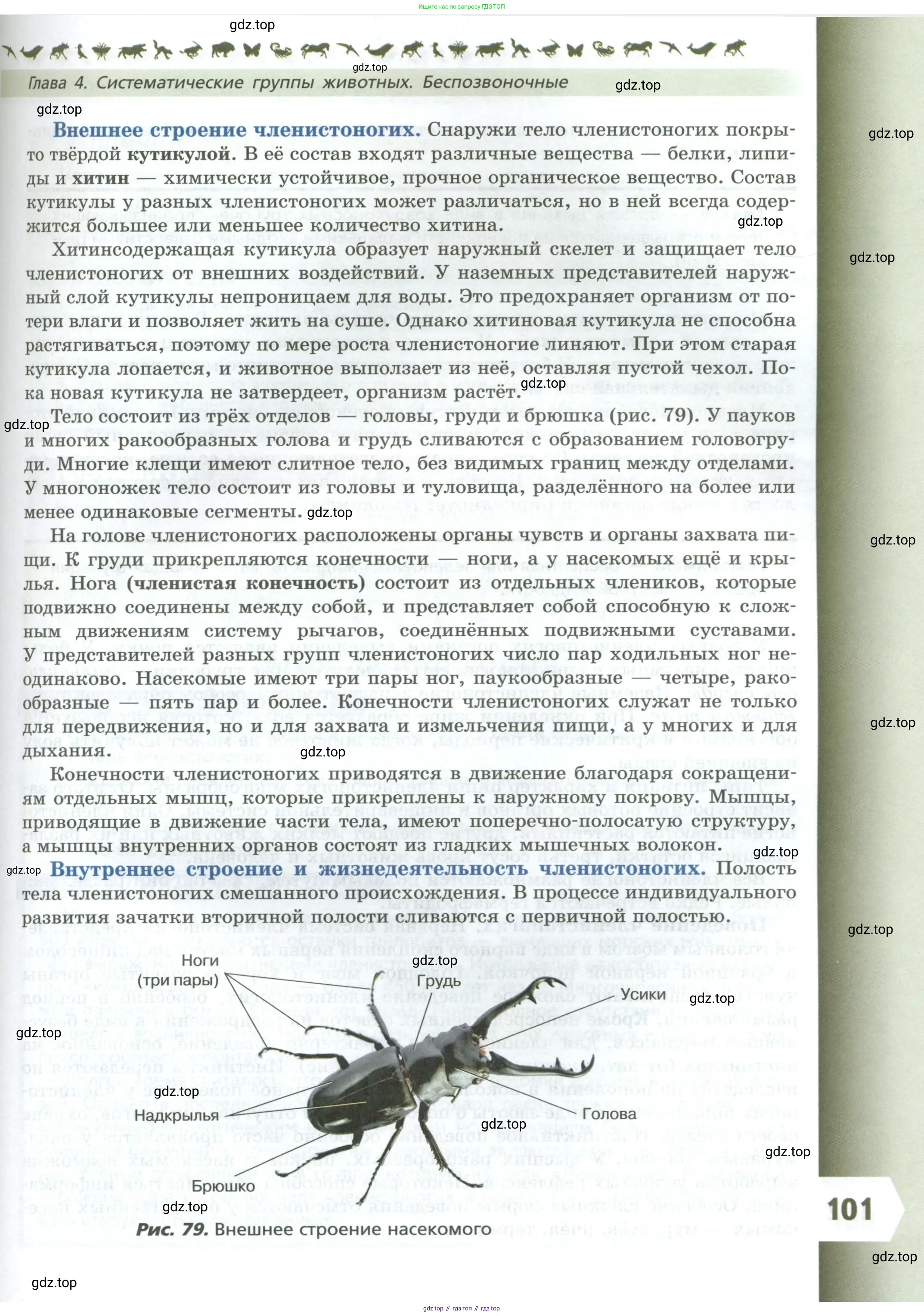 Биология, 8 класс Учебник, авторы: Пасечник Владимир Васильевич, Суматохин Сергей Витальевич, Гапонюк Зоя Георгиевна, издательство Просвещение, Москва, 2023, белого цвета, страница 101